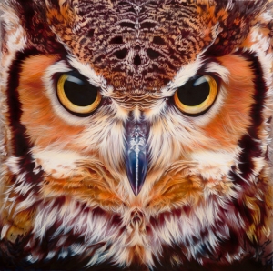 Horned Owl Head 12x12 300
